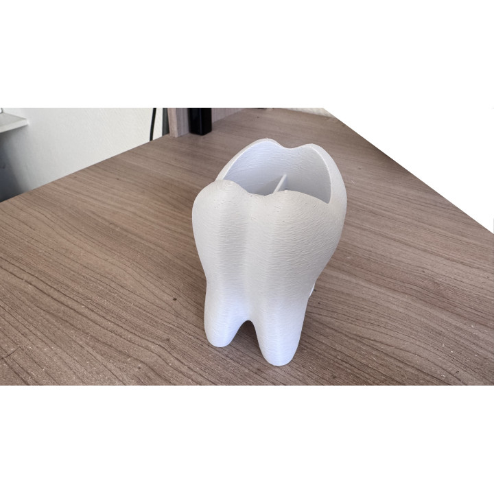 Support Brosse à Dents Molaire – Design Original